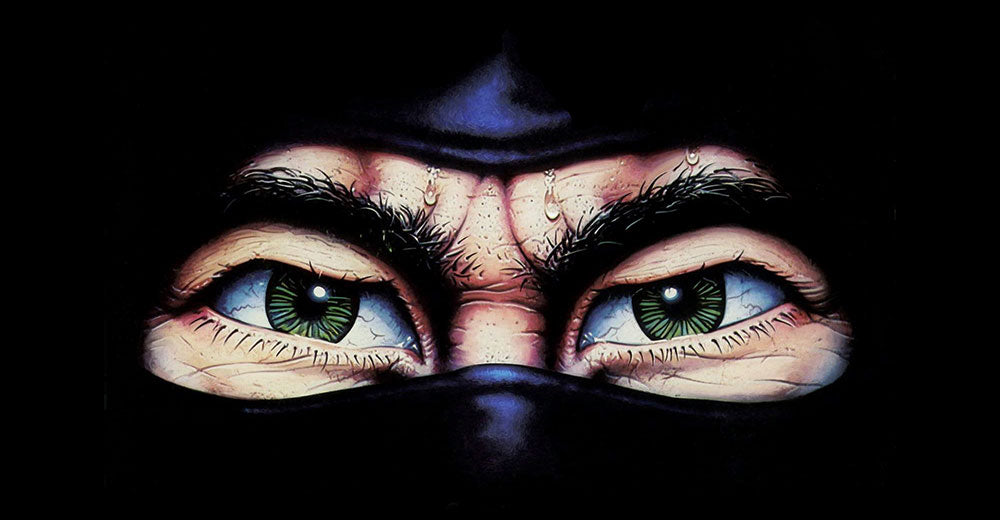 The Last Ninja